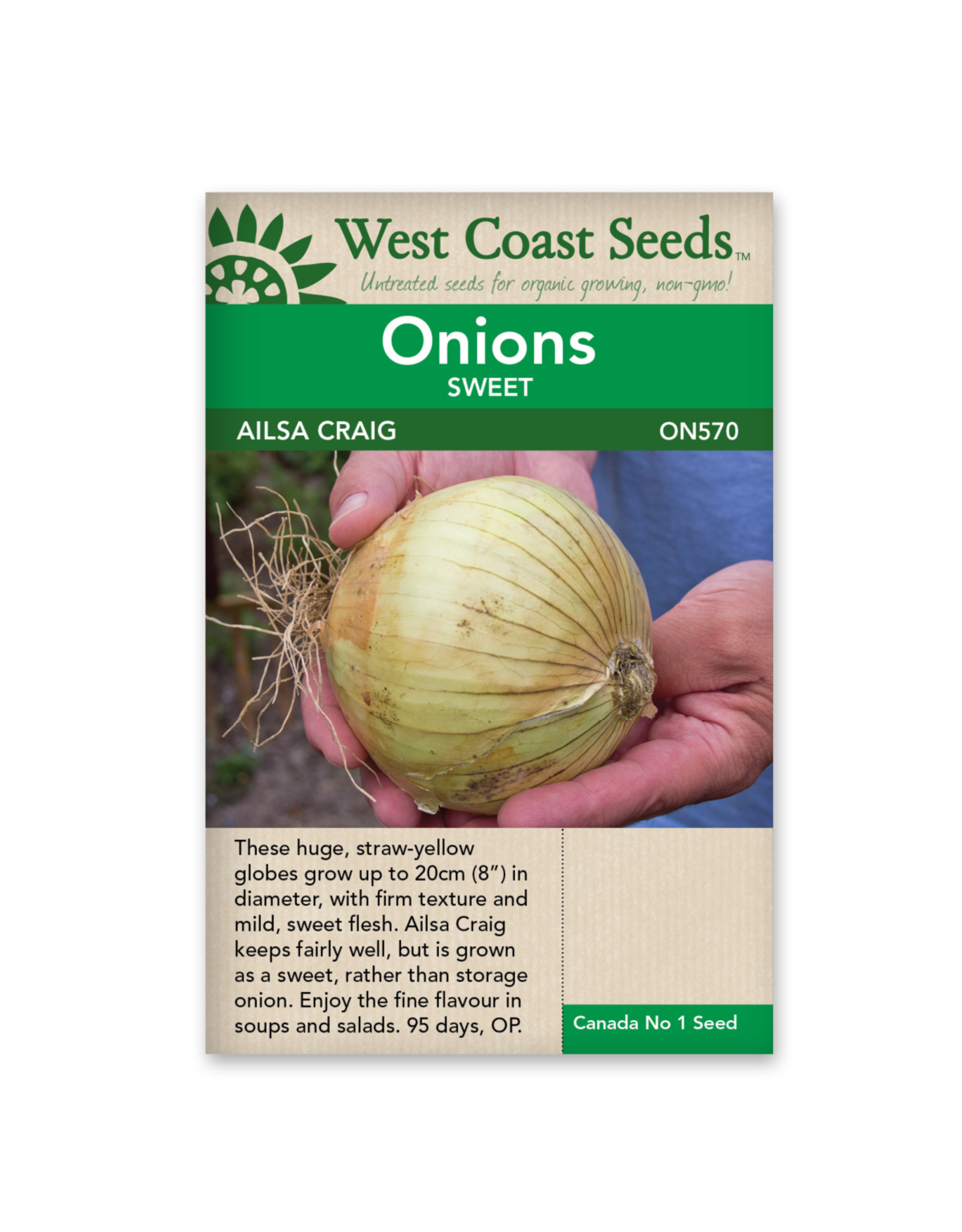 West Coast Seeds Onions - Ailsa Craig
