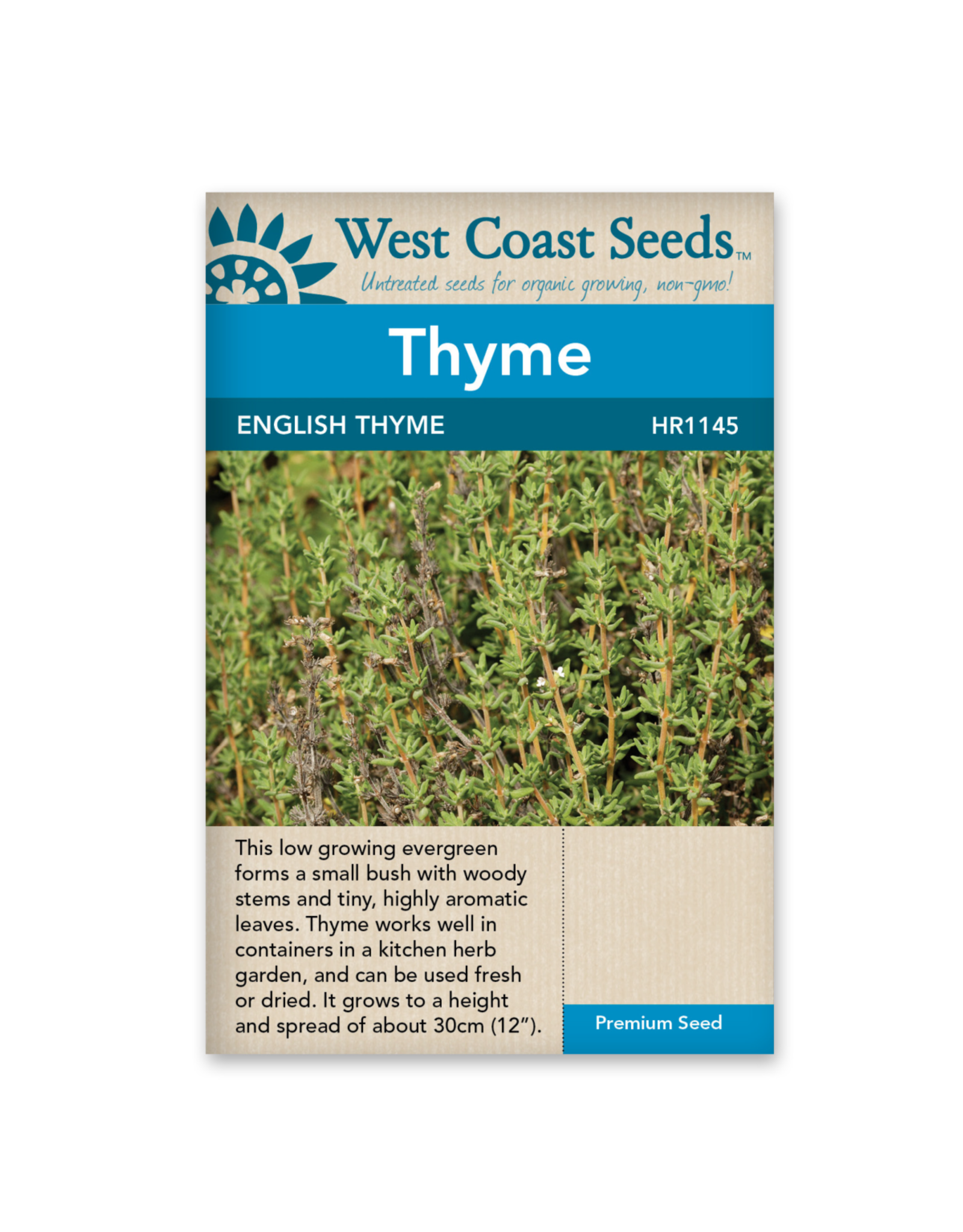 West Coast Seeds Thyme - Winter Thyme