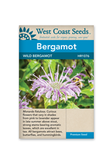 West Coast Seeds Bergamot - Wild Bergamot