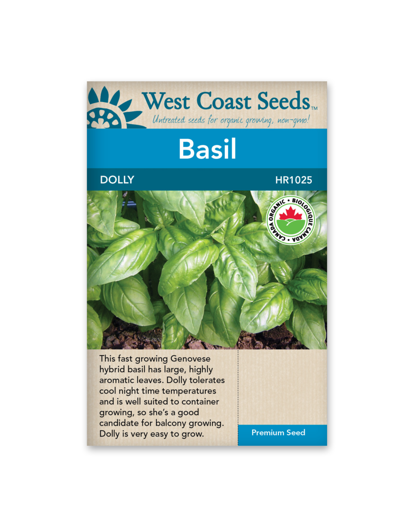 West Coast Seeds Basil - Dolly Organic