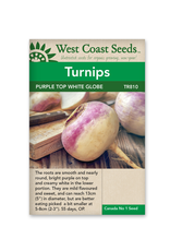 West Coast Seeds Purple Top White Globe