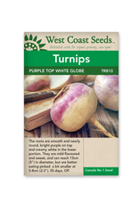 West Coast Seeds Turnips - Purple Top White Globe