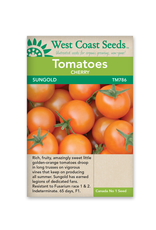 West Coast Seeds Tomatoes - Sungold F1