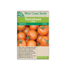 West Coast Seeds Tomato - Sungold Cherry F1