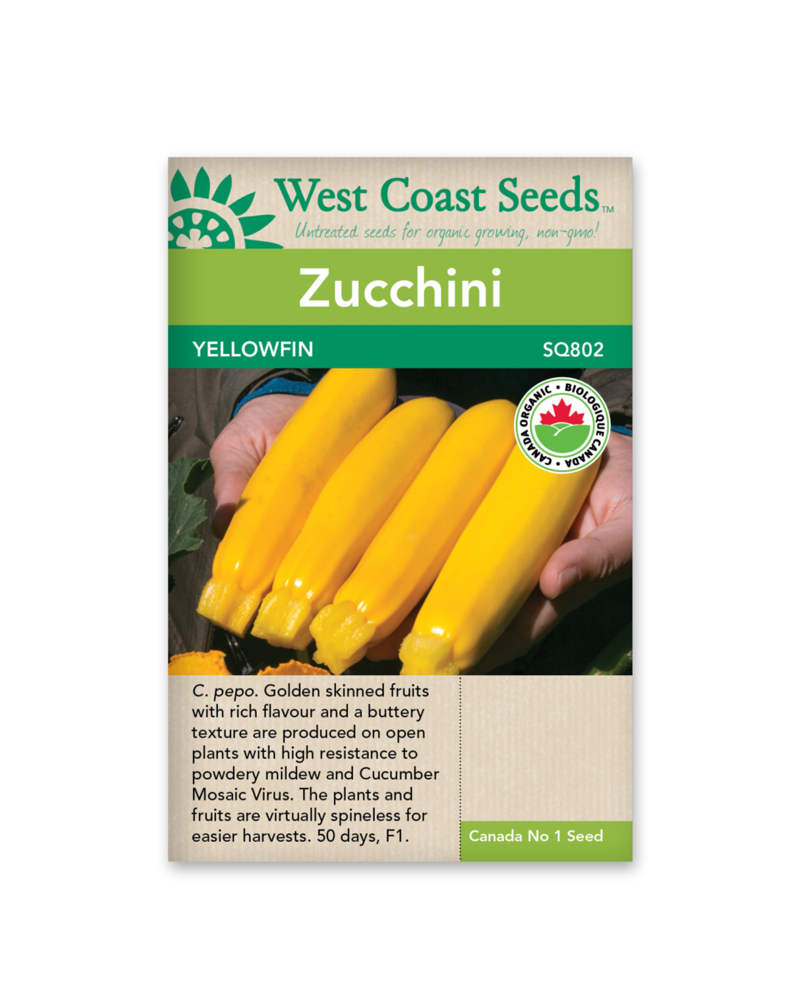 West Coast Seeds Squash-Summer - Yellowfin F1 Organic