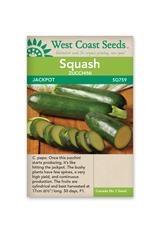 West Coast Seeds Zucchini - Jackpot F1