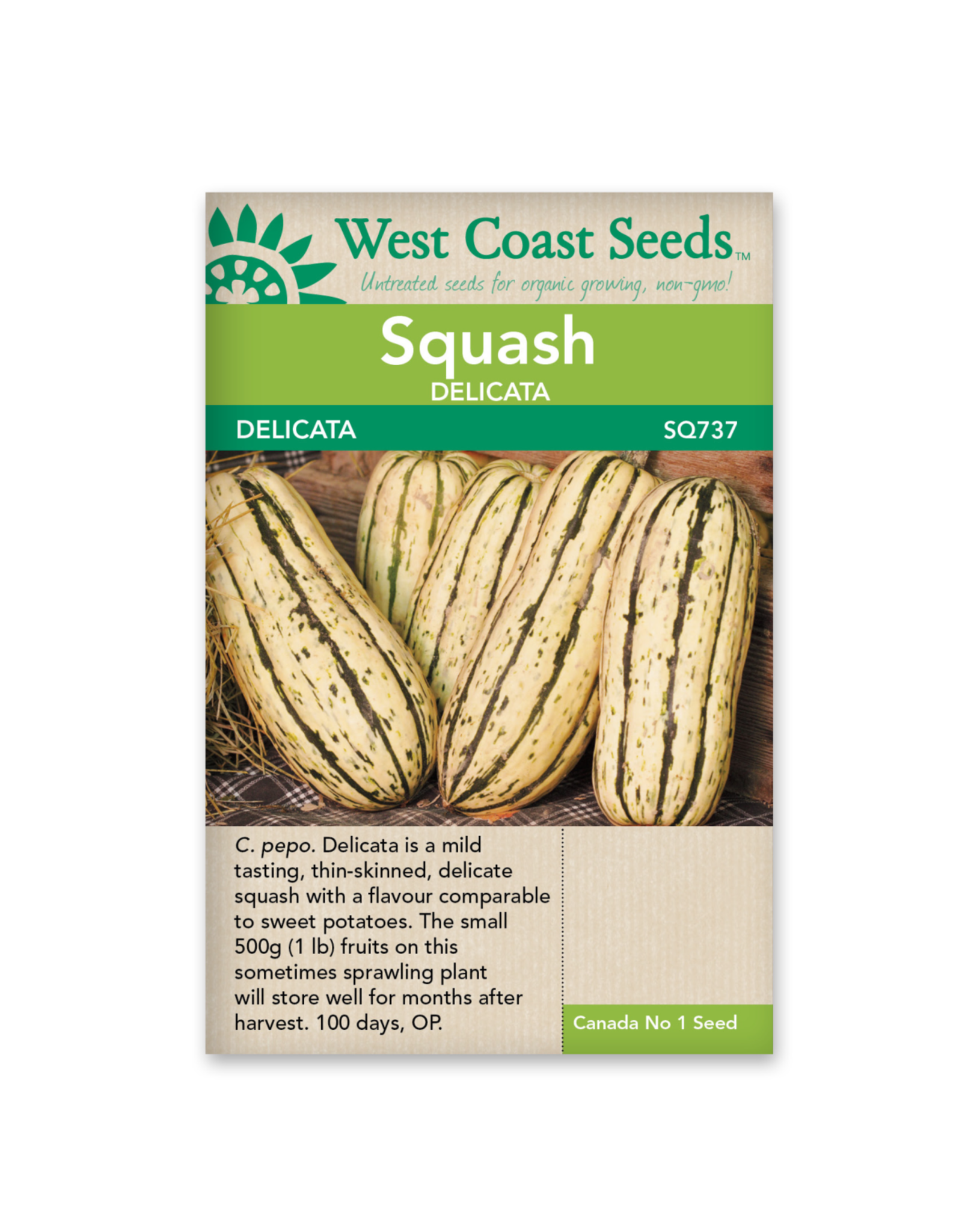 West Coast Seeds Squash-Winter - Delicata