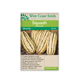 West Coast Seeds Squash-Winter - Delicata