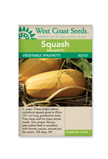 West Coast Seeds Squash-Winter - Spaghetti Squash