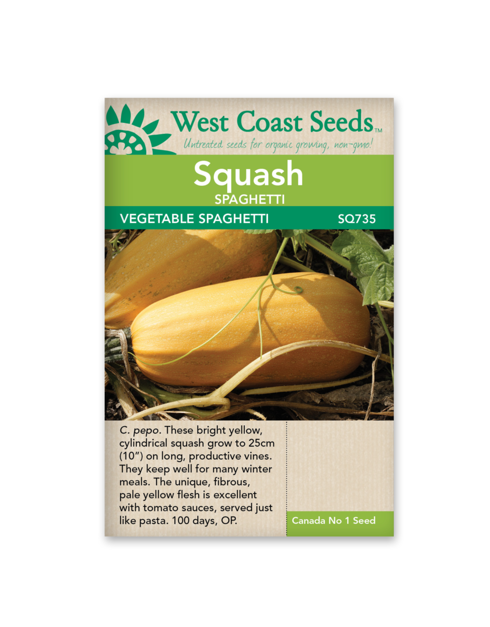 West Coast Seeds Squash-Winter - Spaghetti Squash