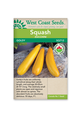 West Coast Seeds Squash-Summer - Goldy F1 Organic