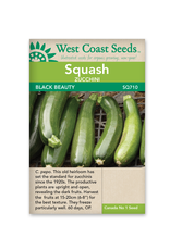 West Coast Seeds Squash-Summer - Black Beauty