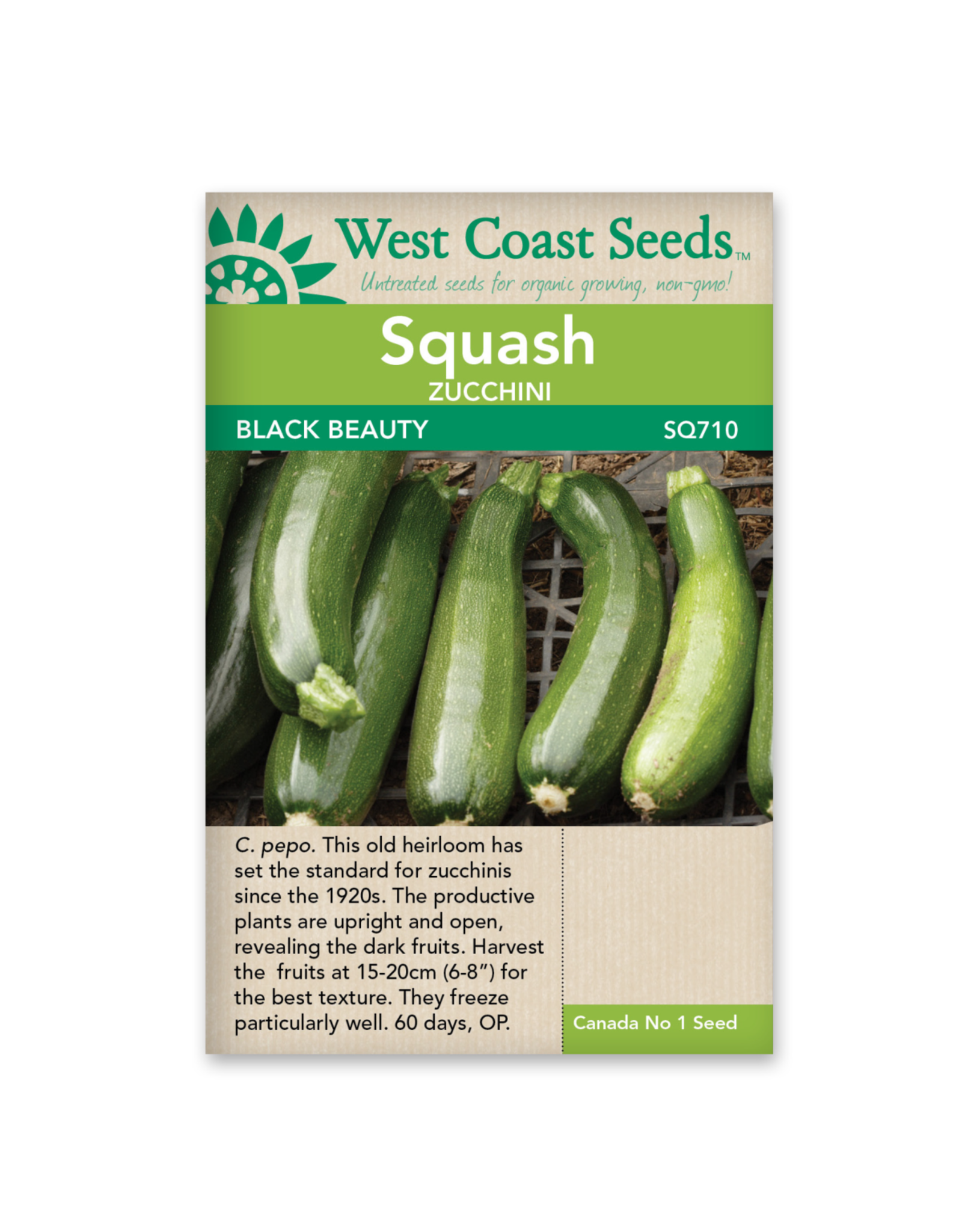 West Coast Seeds Squash-Summer - Black Beauty