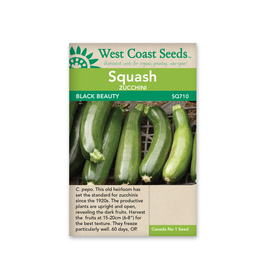 West Coast Seeds Black Beauty Squash Zucchini