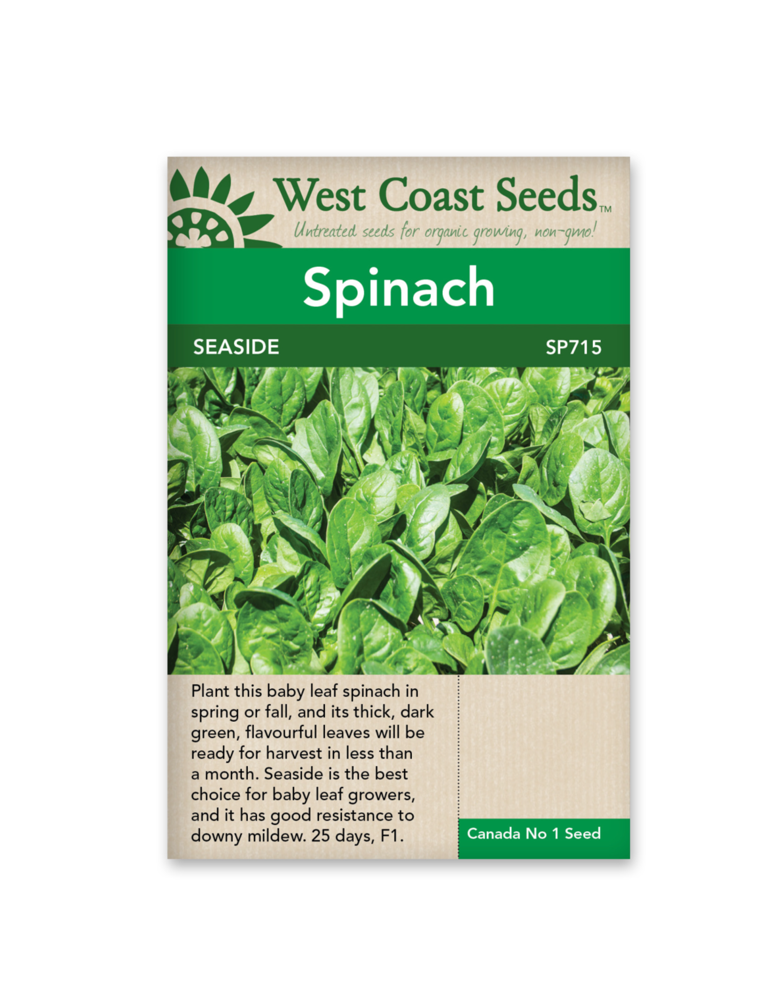 West Coast Seeds Spinach - Seaside F1