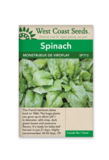 West Coast Seeds Spinach - Monstrueux de Viroflay