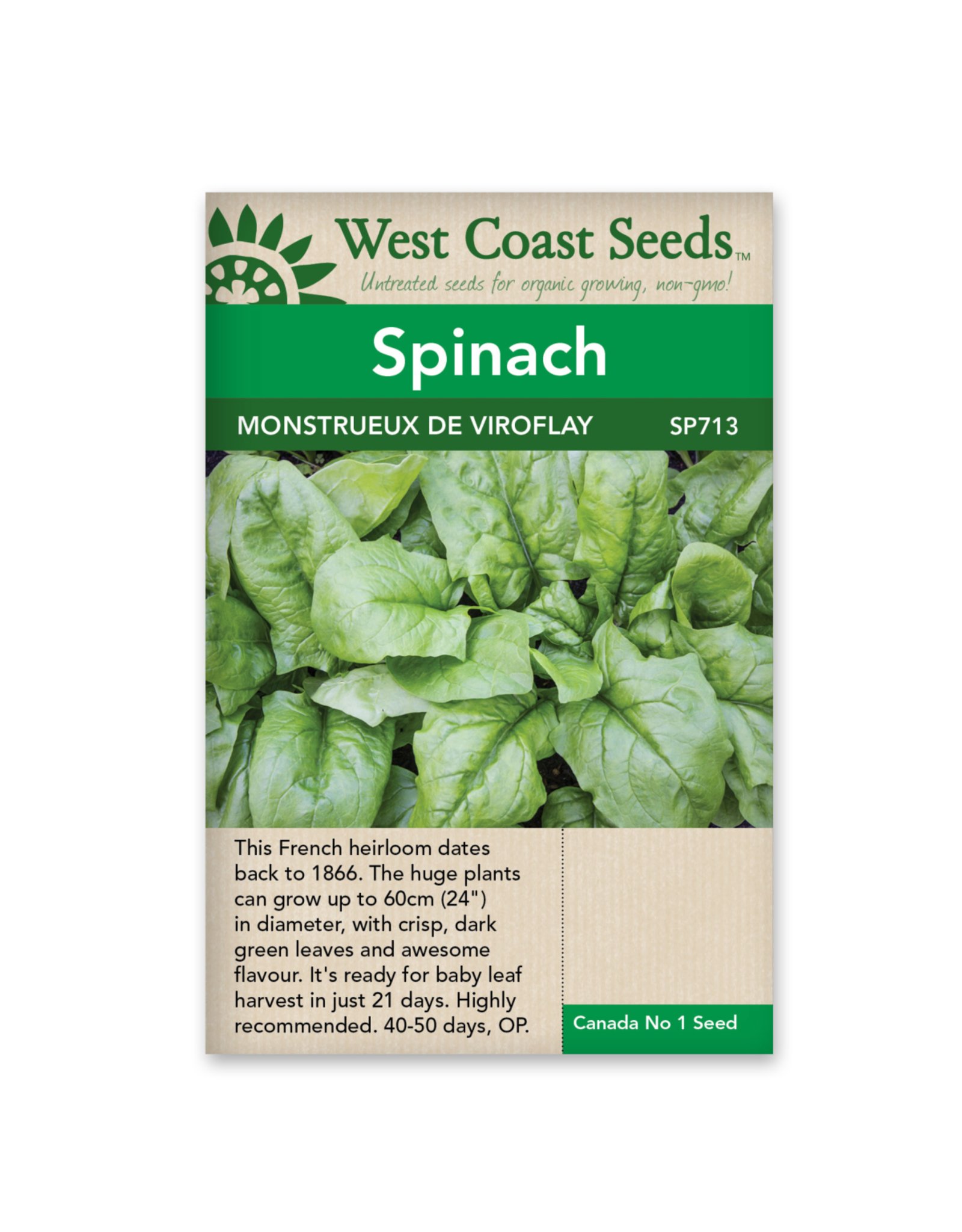 West Coast Seeds Spinach - Monstrueux de Viroflay