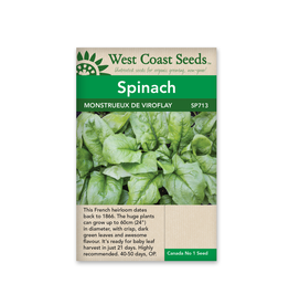 West Coast Seeds Spinach - Monstrueux de Viroflay