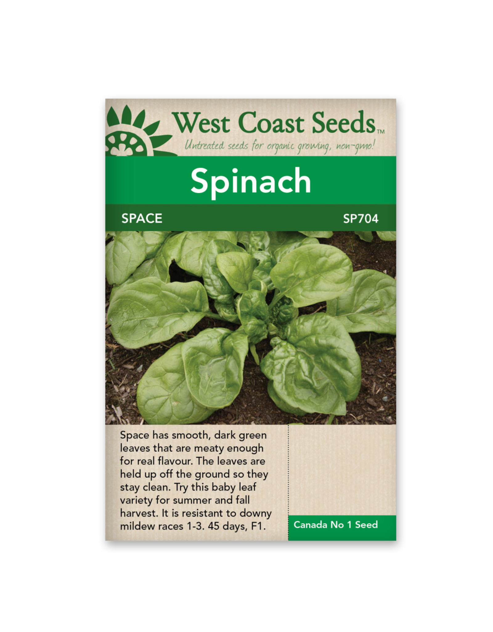 West Coast Seeds Spinach - Space F1