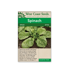 West Coast Seeds Spinach - Space F1