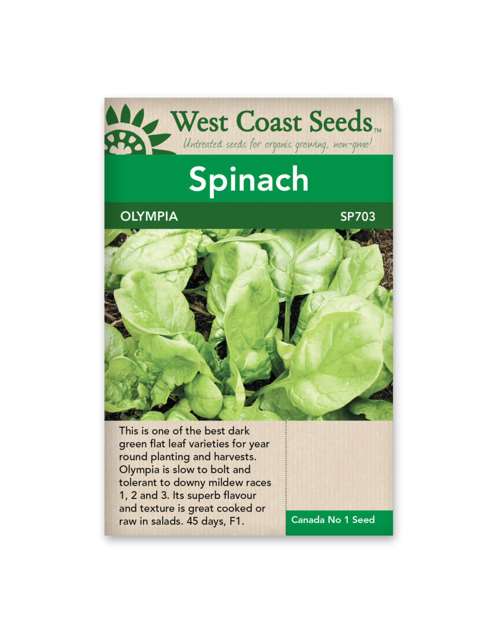 West Coast Seeds Spinach - Olympia F1