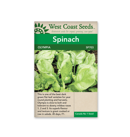 West Coast Seeds Spinach - Olympia F1