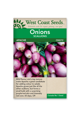 West Coast Seeds Onions - Apache