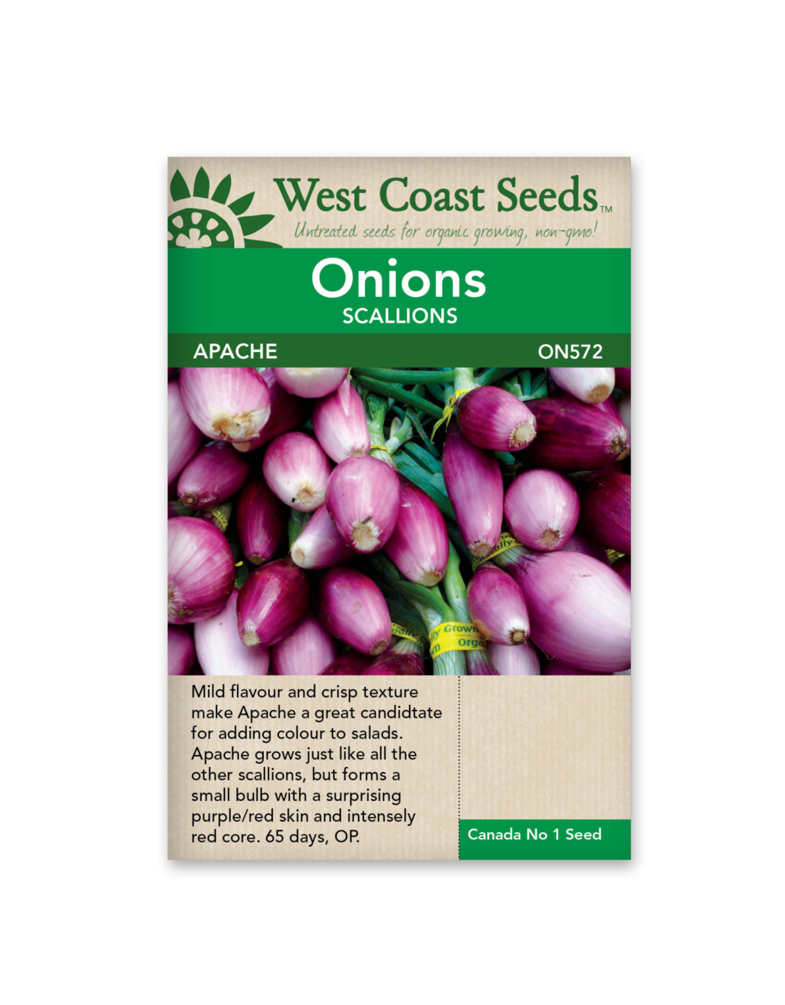 West Coast Seeds Onions - Apache