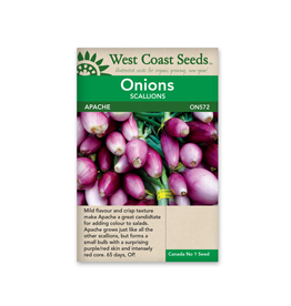 West Coast Seeds Onions - Apache