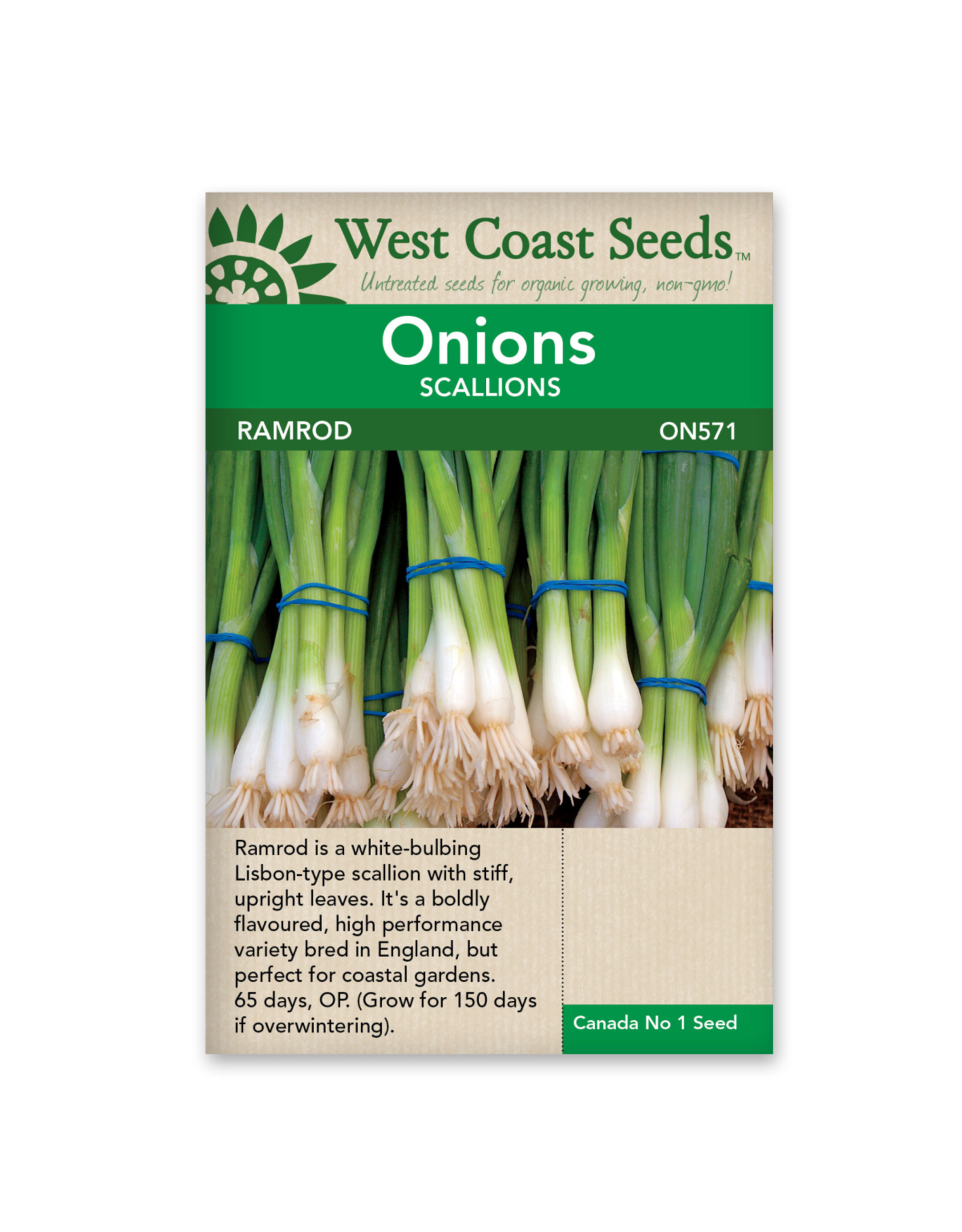 West Coast Seeds Onions - Ramrod