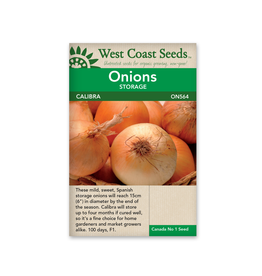 West Coast Seeds Onions - Calibra F1