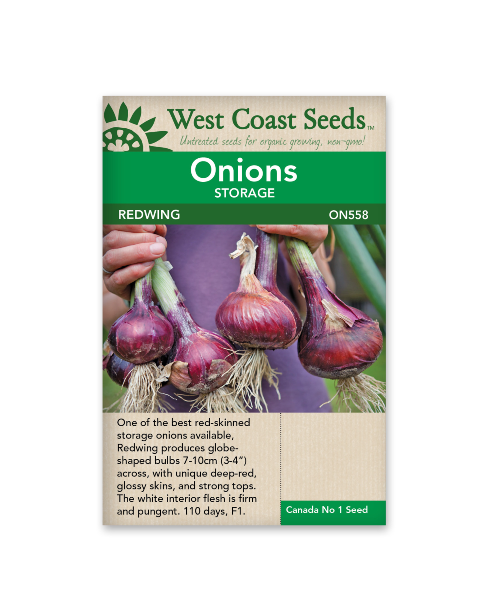 West Coast Seeds Onions - Redwing F1 Coated
