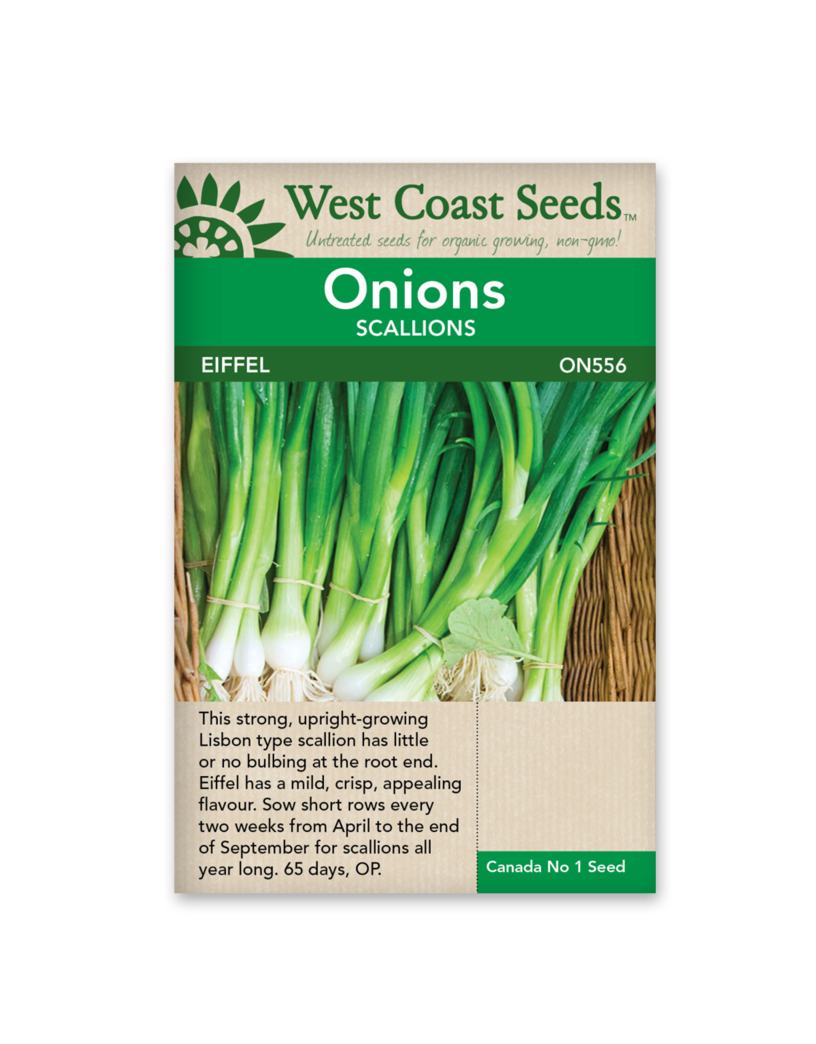 West Coast Seeds Onions - Eiffel