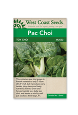 West Coast Seeds Pac Choi - Toy Choy F1