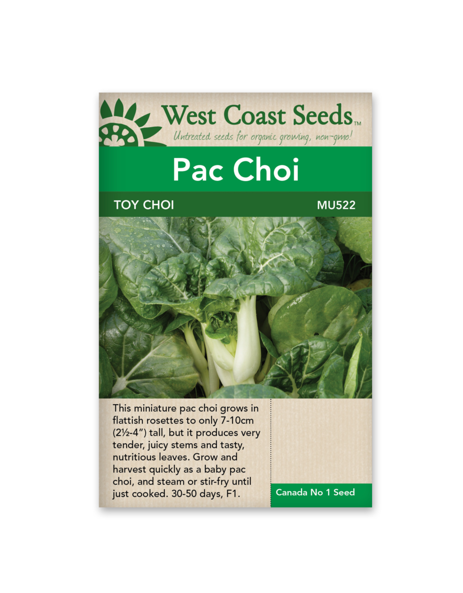 West Coast Seeds Pac Choi - Toy Choy F1