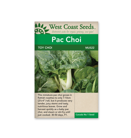 West Coast Seeds Pac Choi - Toy Choy F1