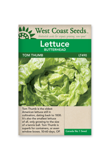West Coast Seeds Lettuce - Tom Thumb