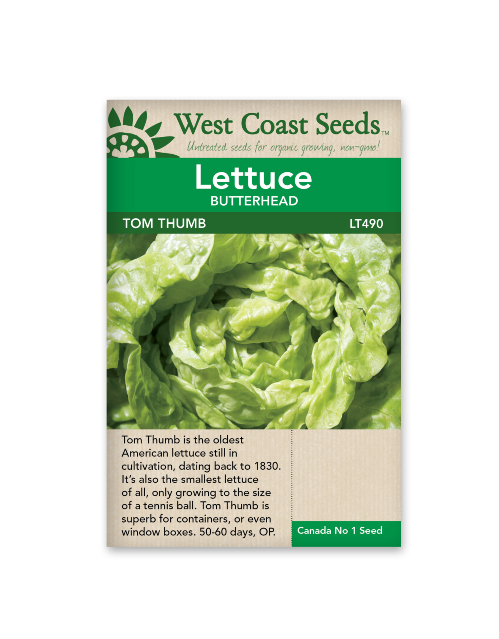 West Coast Seeds Lettuce - Tom Thumb
