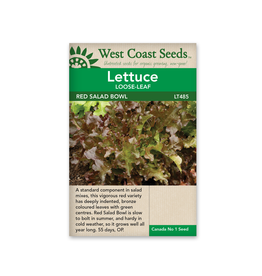 West Coast Seeds Lettuce - Salad Bowl Red