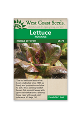 West Coast Seeds Lettuce - Rouge d'Hiver