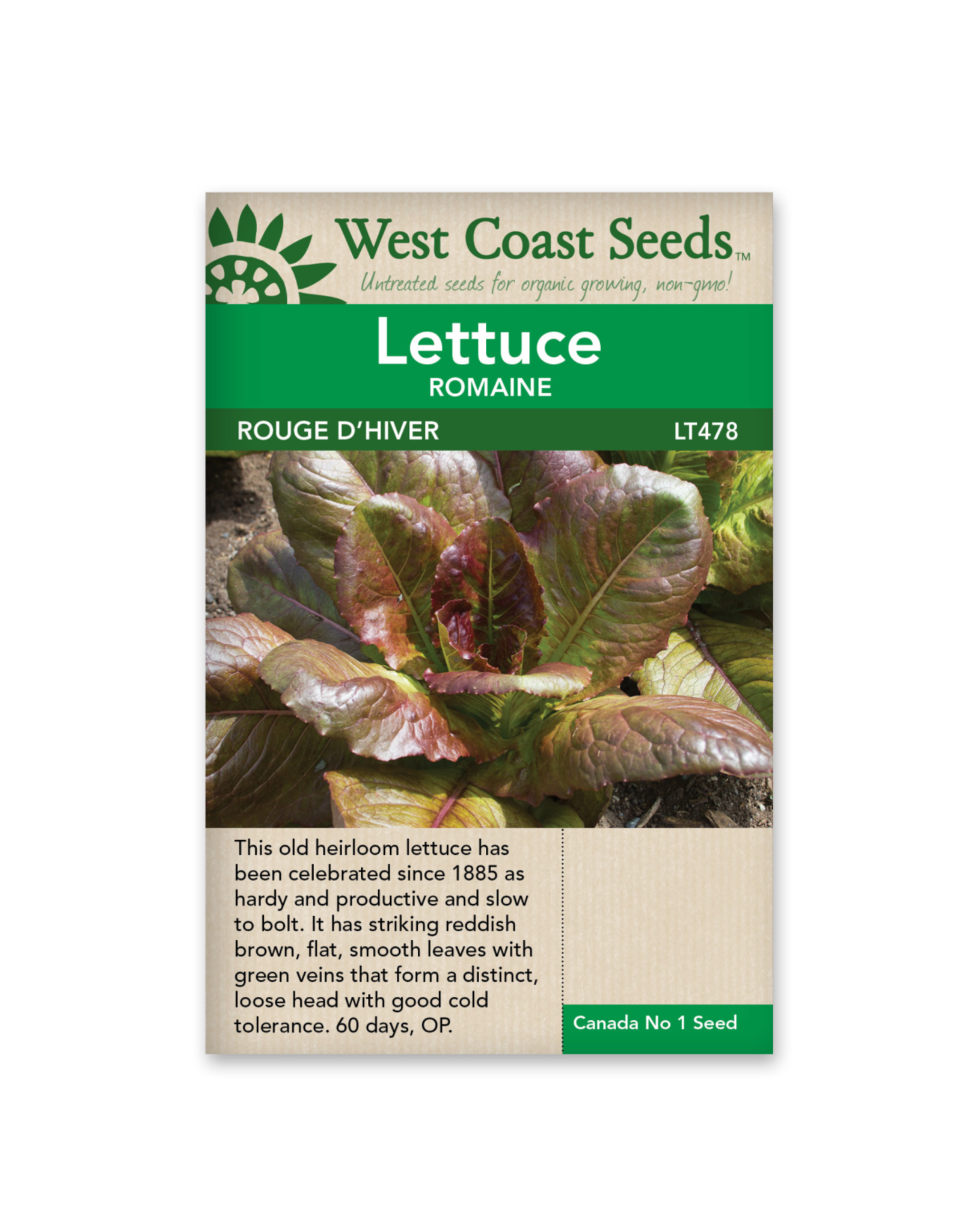 West Coast Seeds Lettuce - Rouge d'Hiver