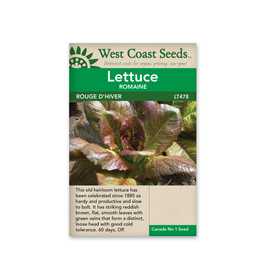 West Coast Seeds Lettuce - Rouge d'Hiver