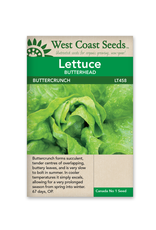 West Coast Seeds Lettuce - Buttercrunch