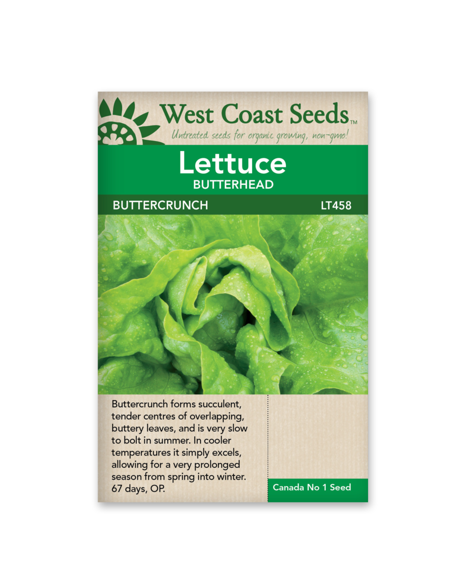 West Coast Seeds Lettuce - Buttercrunch