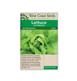 West Coast Seeds Lettuce - Buttercrunch