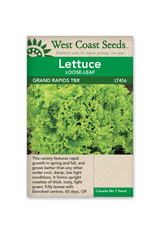 West Coast Seeds Lettuce - Grand Rapids TBR