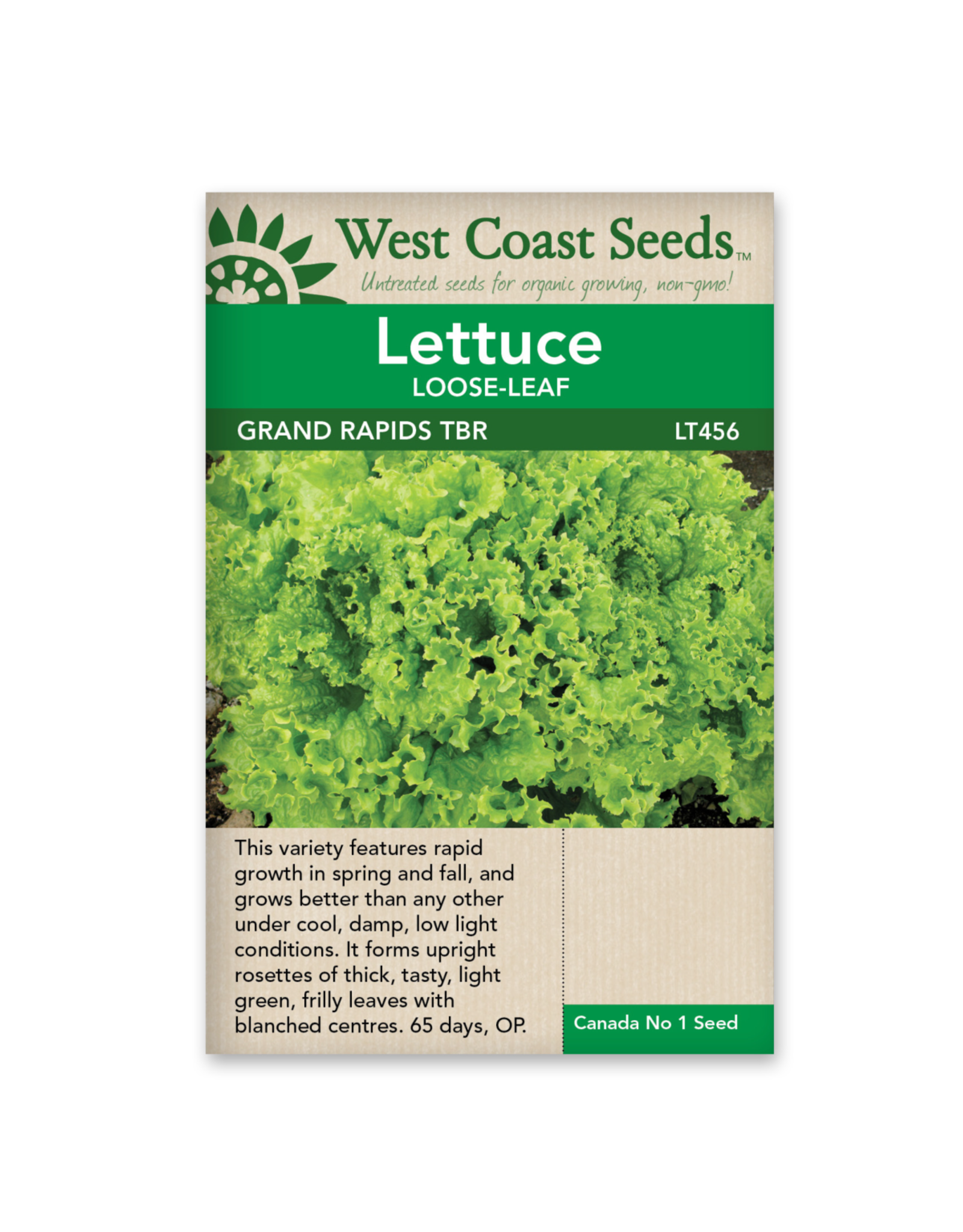 West Coast Seeds Lettuce - Grand Rapids TBR