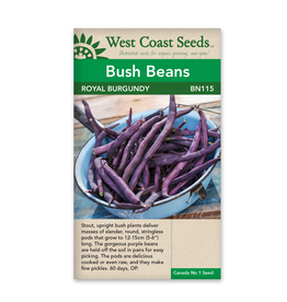 West Coast Seeds Royal Burgundy