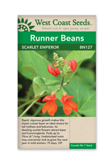 West Coast Seeds Beans - Scarlet Emperor