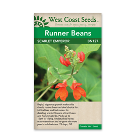 West Coast Seeds Beans - Scarlet Emperor